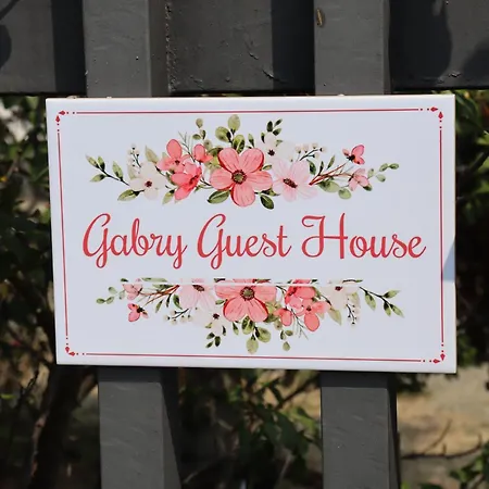 Gabry Konukevi Bruno