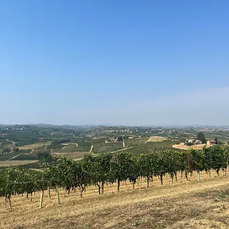 Gabry Konukevi Bruno