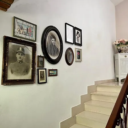 Gabry 게스트하우스 Bruno